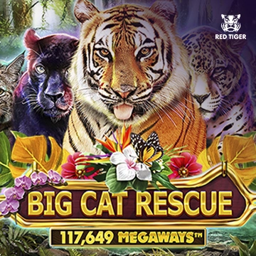 Big Cat Rescue Megaways - KINGBET189