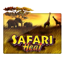 Safari Heat - KINGBET189