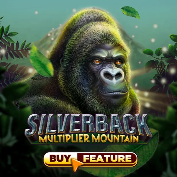 Silverback Multiplier Mountain - KINGBET189