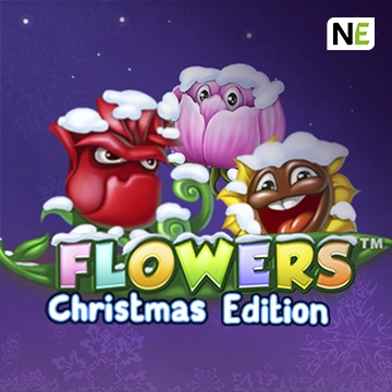 Flowers Christmas Edition - KINGBET189