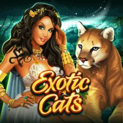 Exotic Cats - KINGBET189