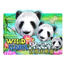 Wild Giant Panda - KINGBET189
