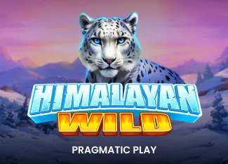 Himalayan Wild - KINGBET189
