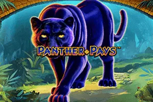 Panther Pays - KINGBET189