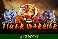 Tiger Warrior - KINGBET189