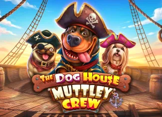 The Dog House - Muttley Crew - KINGBET189