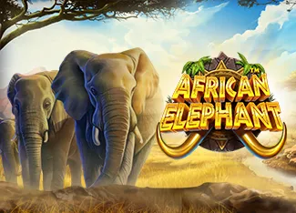 African Elephant - KINGBET189